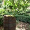 Rain Barrel