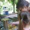 Candlemaking Mold