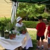 Herb Sale