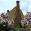 Summer with Crape Myrtles