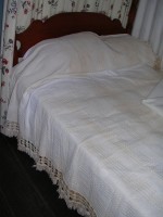 DSCN0456.1